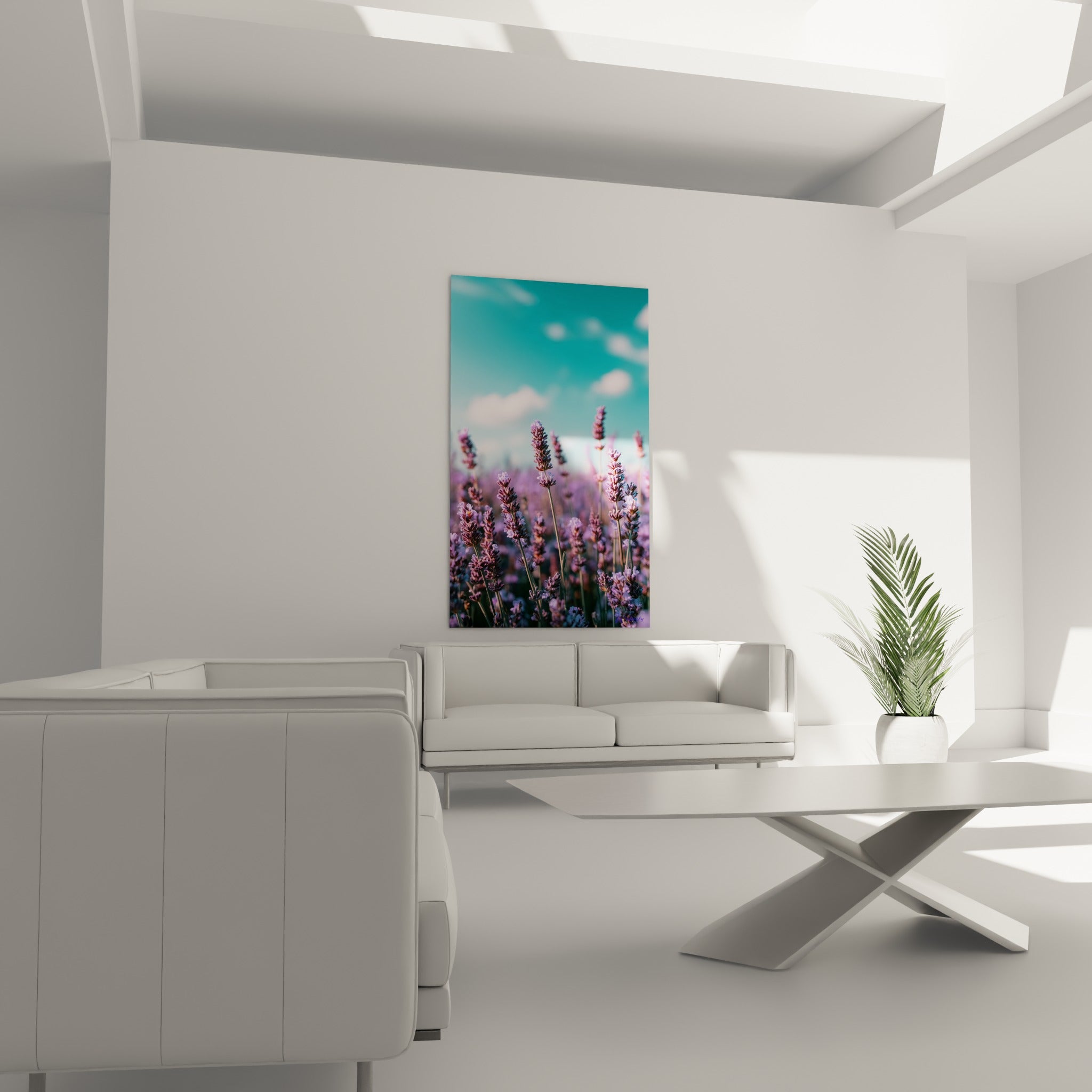 Champ de lavande violette et bleu turquoise, cadre lumineux accroché au-dessus d'un canapé dans un salon lumineux