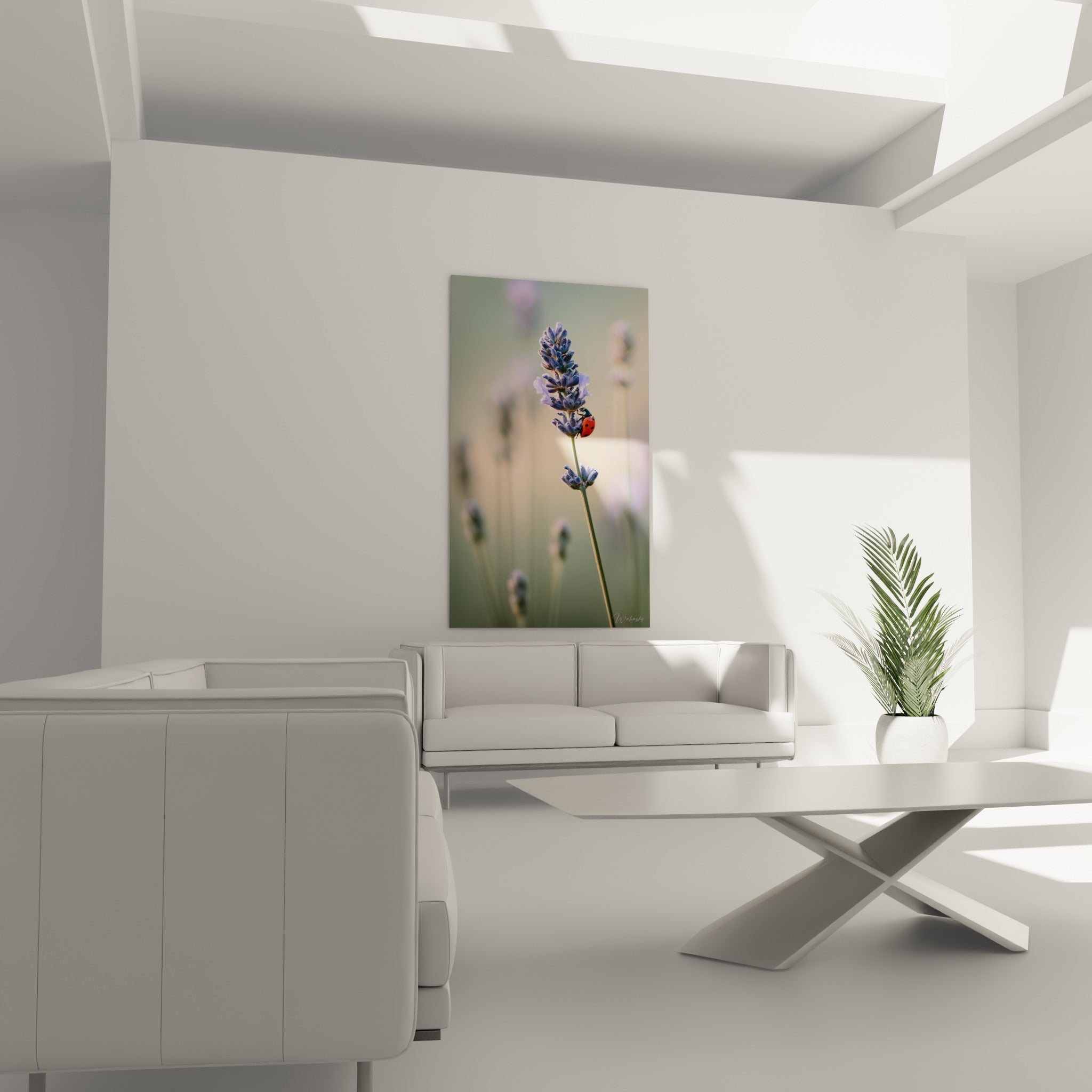 Fleurs mauves de lavande et petit insecte rouge affichés au-dessus d'un canapé dans un salon lumineux