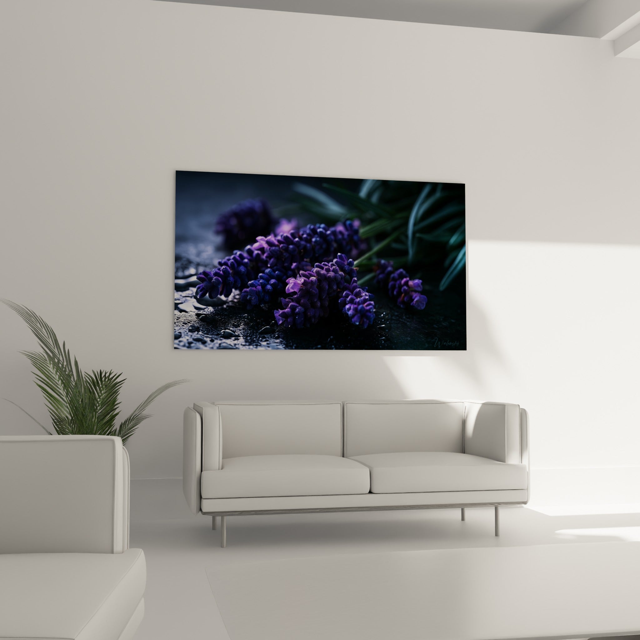 Fleurs de lavande violettes couvertes de gouttelettes scintillantes, au-dessus d'un canapé dans un salon lumineux.