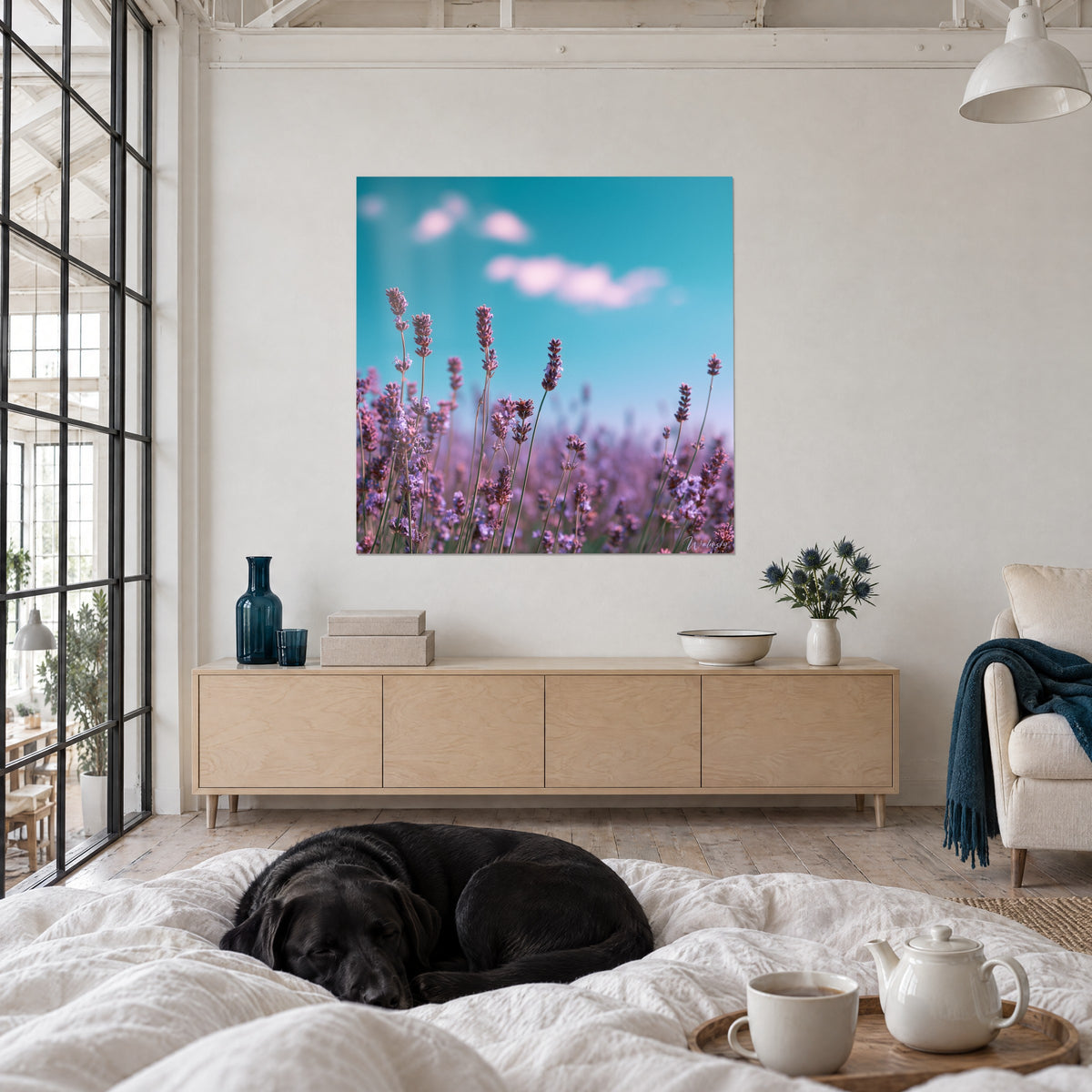 Cuadro tallos de lavanda púrpura y cielo turquesa esponjoso, un Labrador negro tumbado sobre una cama en un dormitorio luminoso