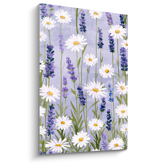 Tableau Marguerites et lavande blanc violet - Champ provençal - Edition Lavande