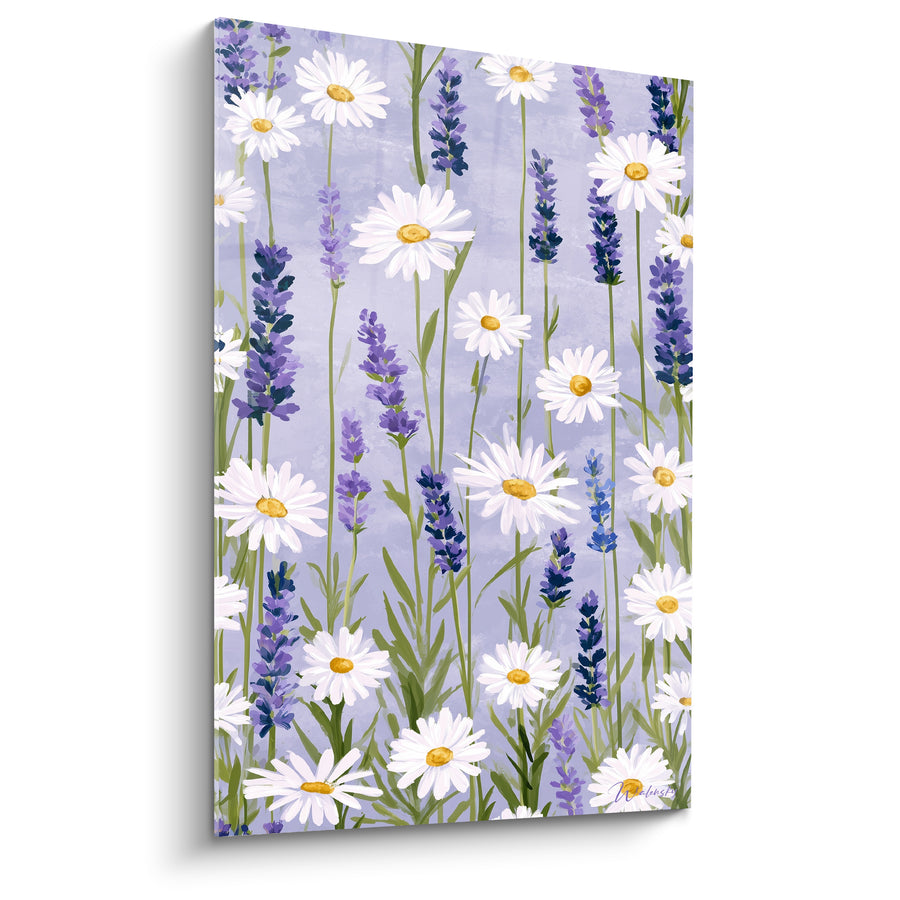 Tableau Marguerites et lavande blanc violet - Champ provençal - Edition Lavande