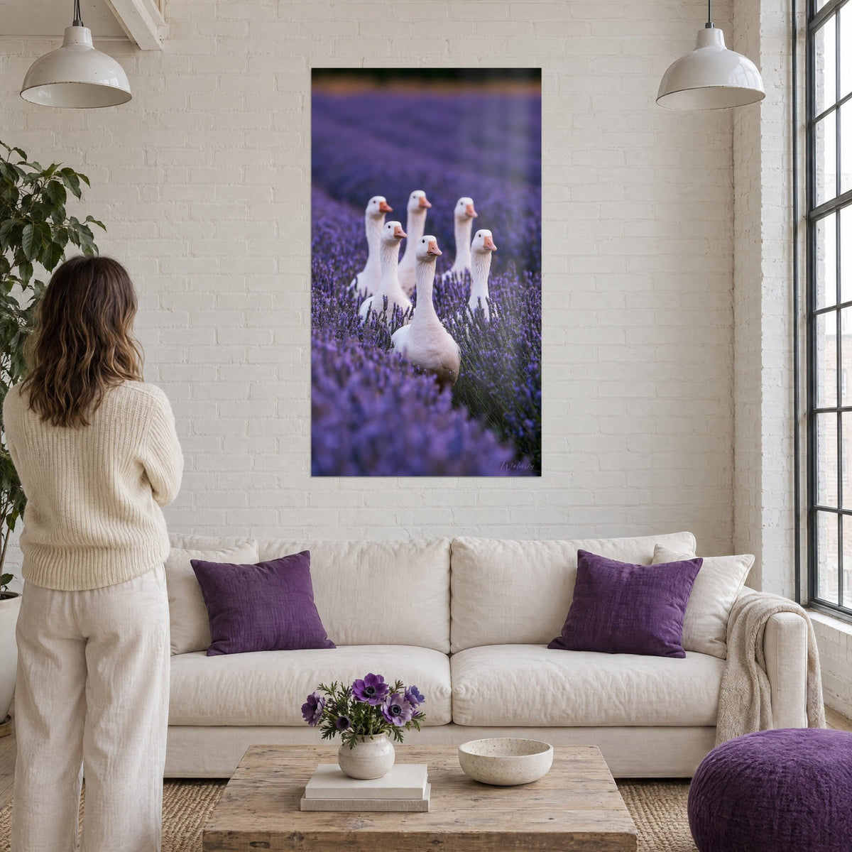 Wall art five white geese with orange beaks raising their necks among violet lavender, above a sofa in a bright living room
