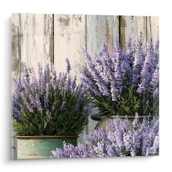 Tableau Lavande en pots contre planches patinées - Été en Provence - Edition Lavande