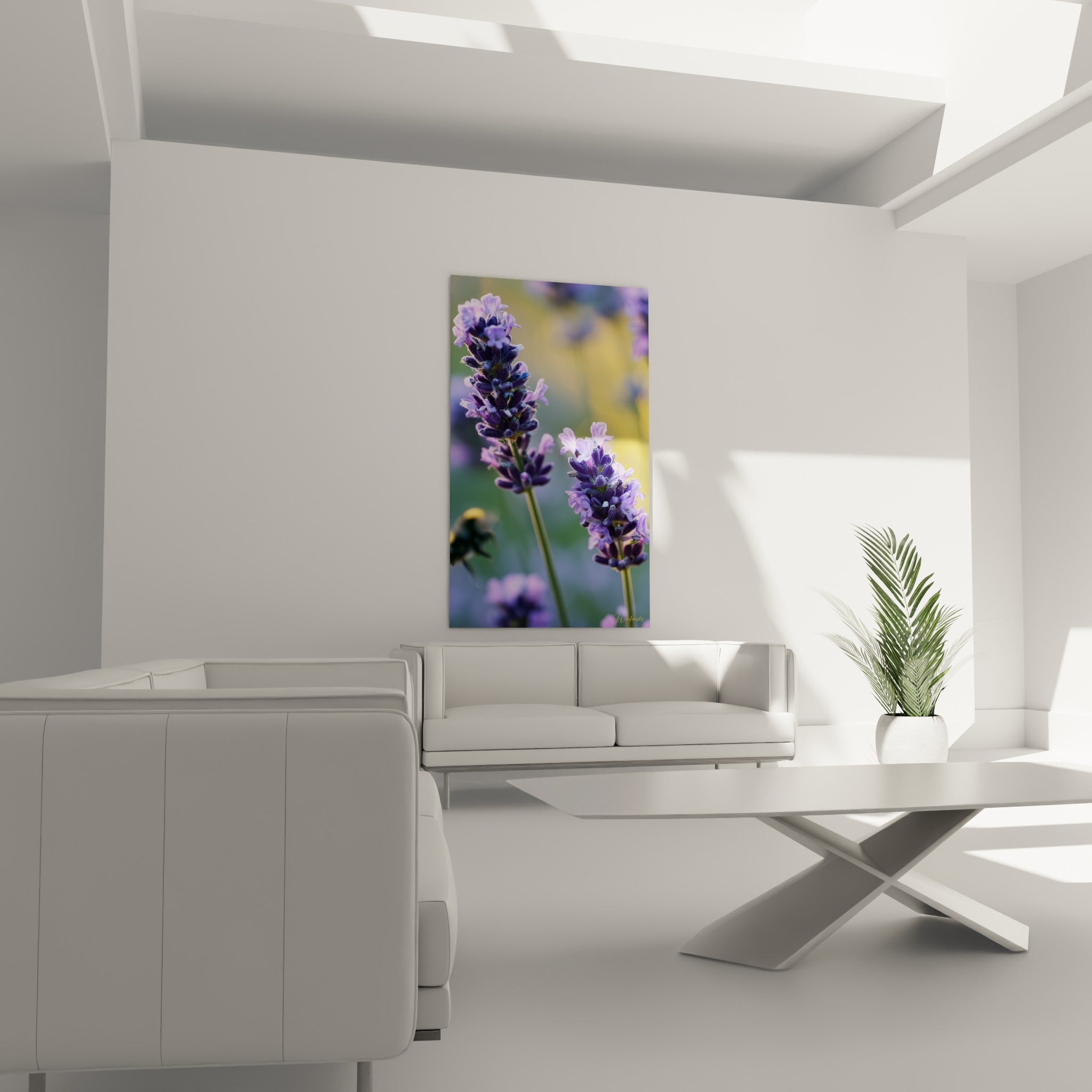 Fleurs de lavande pourpres et tiges vertes, accrochées au-dessus d'un canapé dans un salon lumineux