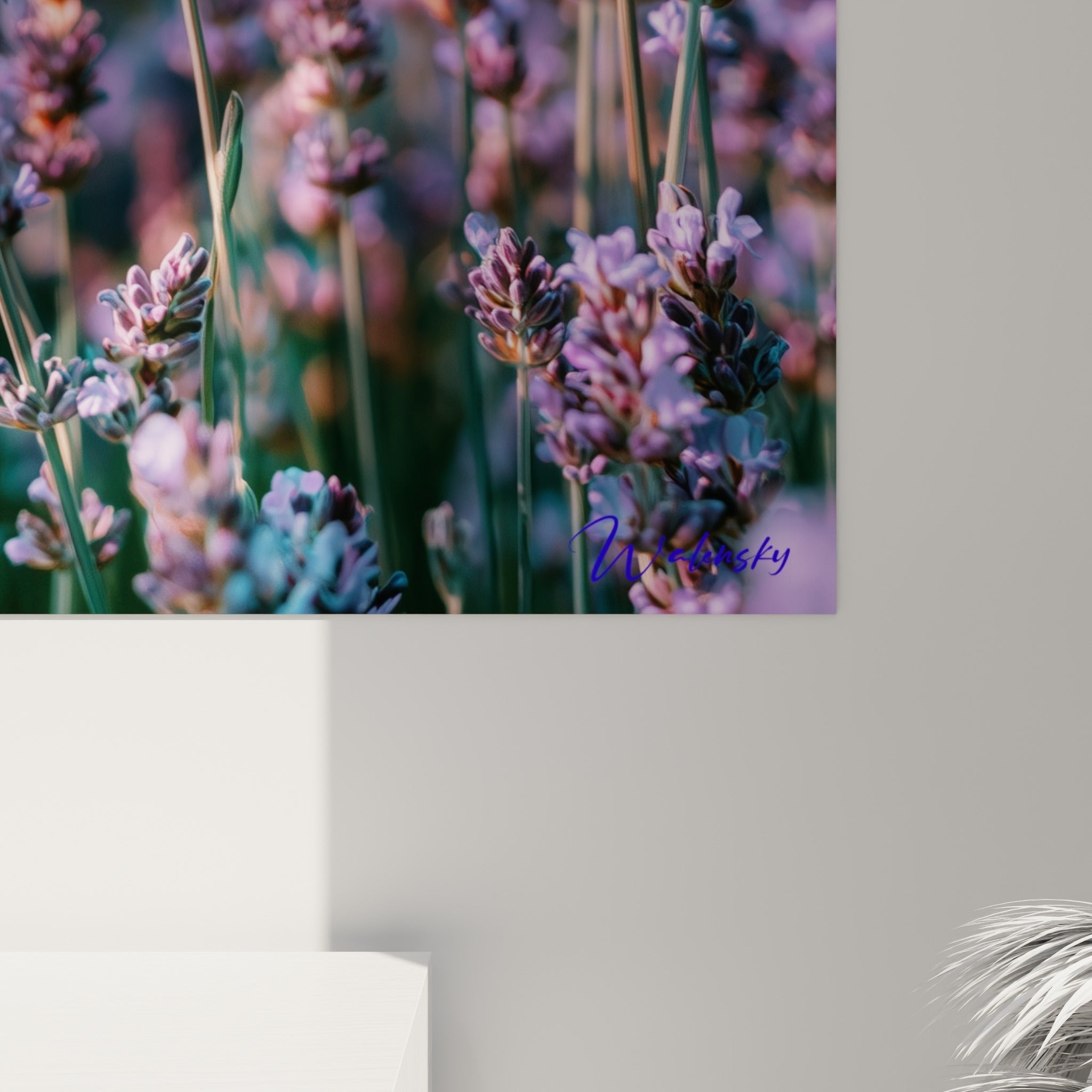 Grain de l'impression révélant les nuances violettes et turquoise des fleurs de lavande en gros plan
