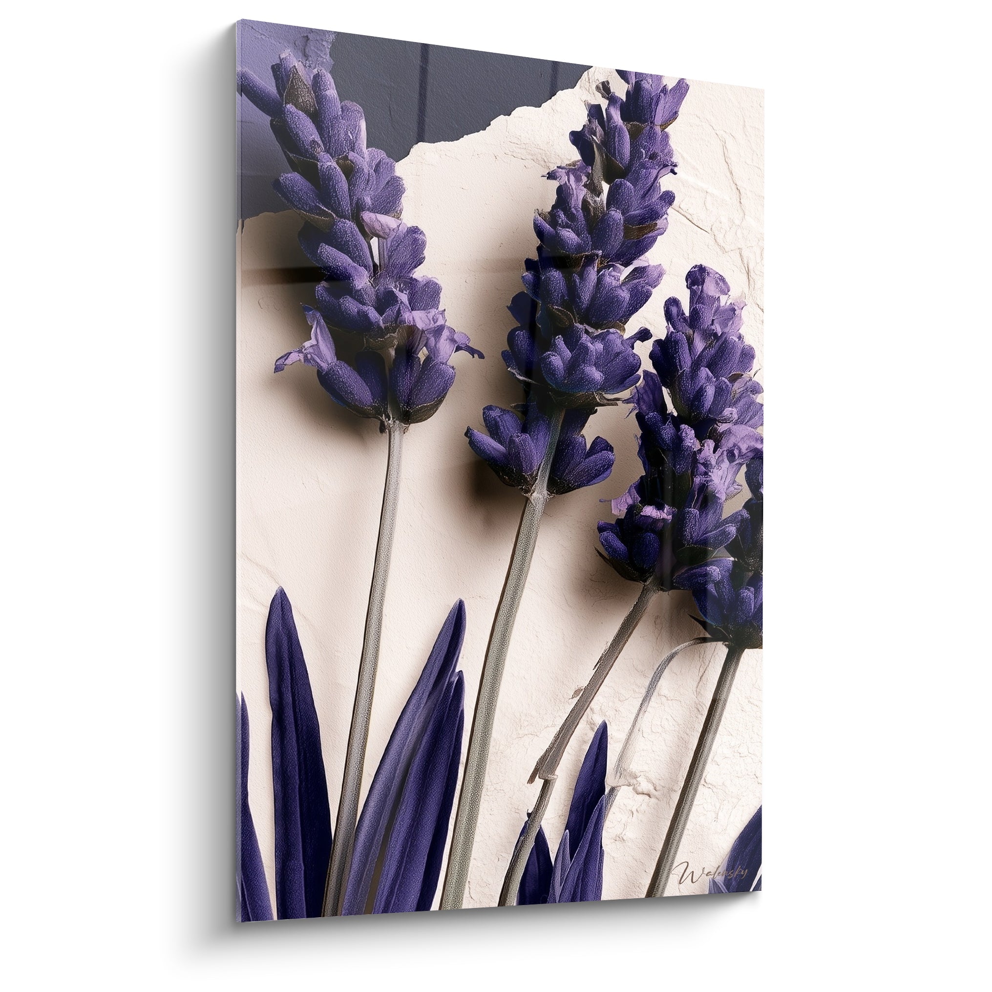 Lavande violette et anthracite sur fond crème texturé, composition florale épurée et lumineuse