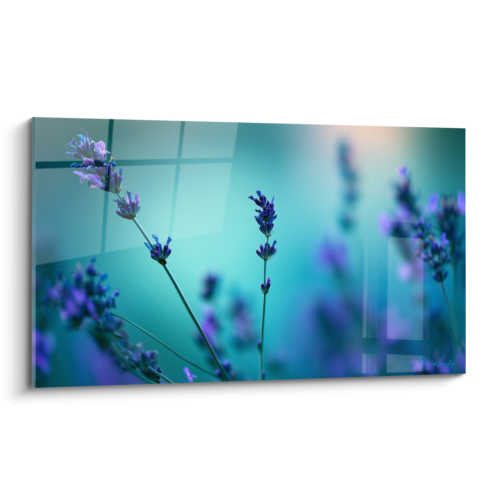 Épis de lavande violette se détachant sur un fond turquoise flouté aux reflets géométriques