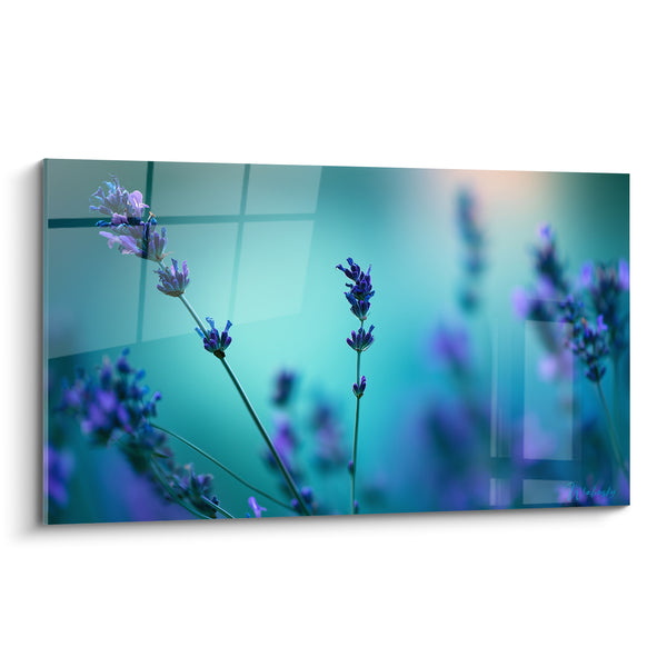 Tableau Lavande violette sur fond turquoise géométrique - Rêverie estivale - Edition Lavande