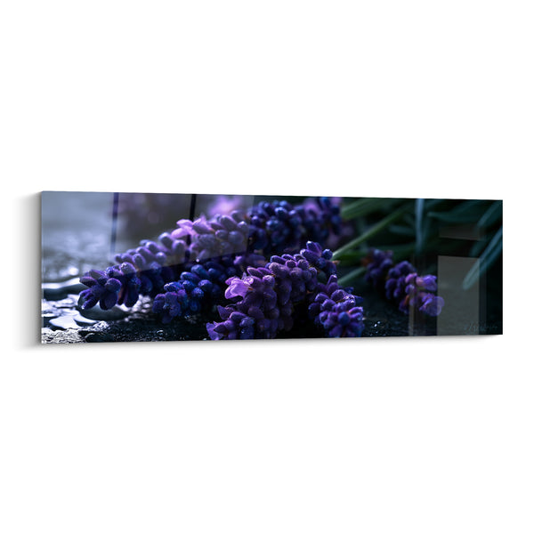 Tableau Brins de lavande violette et gouttes d'eau - Fraîcheur du matin - Edition Lavande