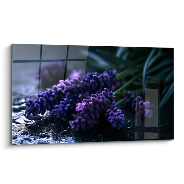 Tableau Épis violets et noirs sur surface mouillée - Gouttes d'eau perlées - Edition Lavande