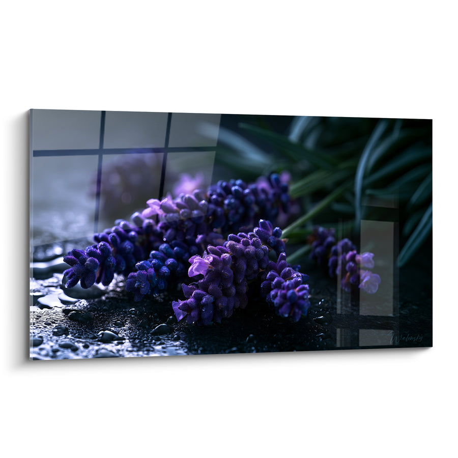Tableau Épis violets et noirs sur surface mouillée - Gouttes d'eau perlées - Edition Lavande