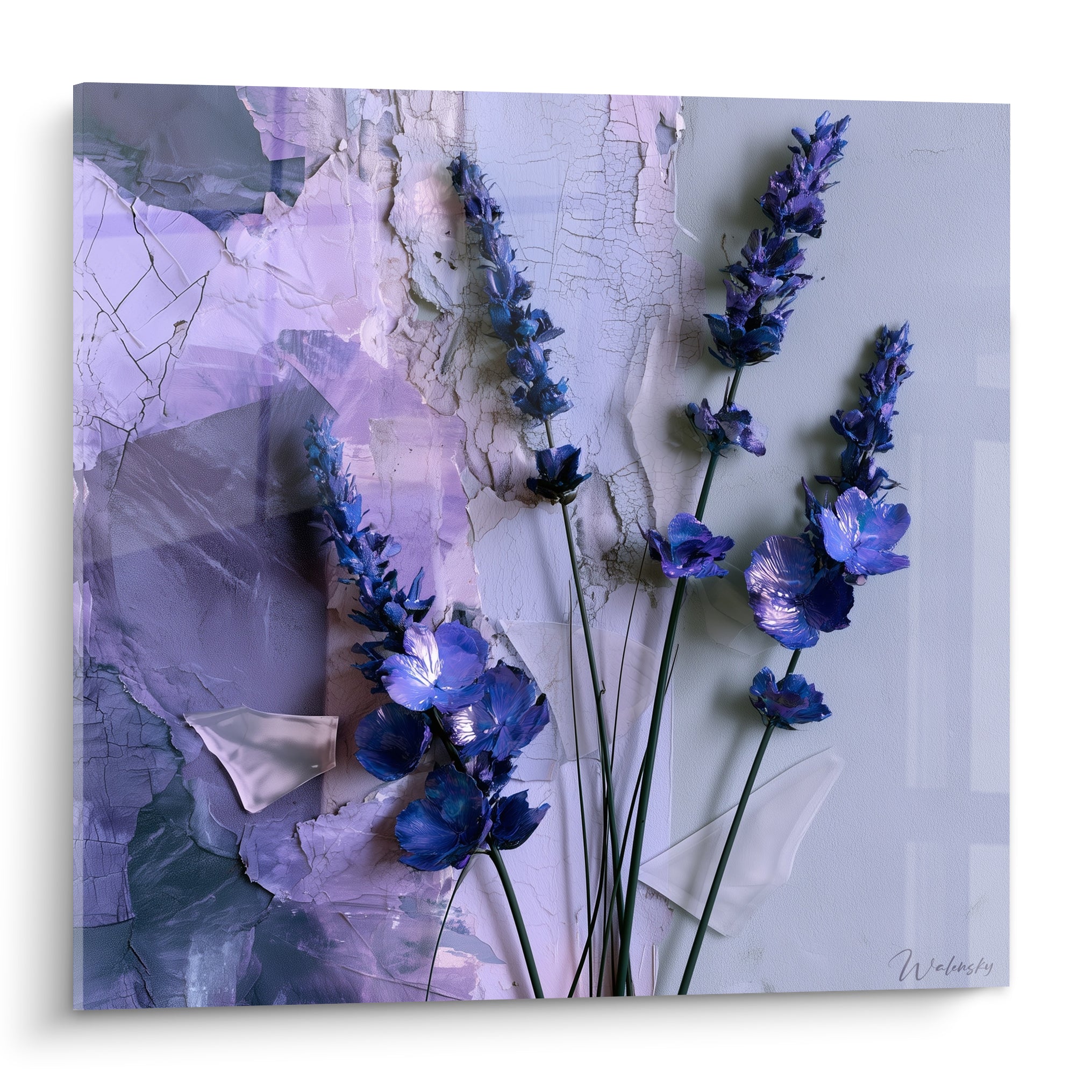 Lavande bleu marine et violette sur fond mural blanc craquelé, tiges élancées et fleurs délicates