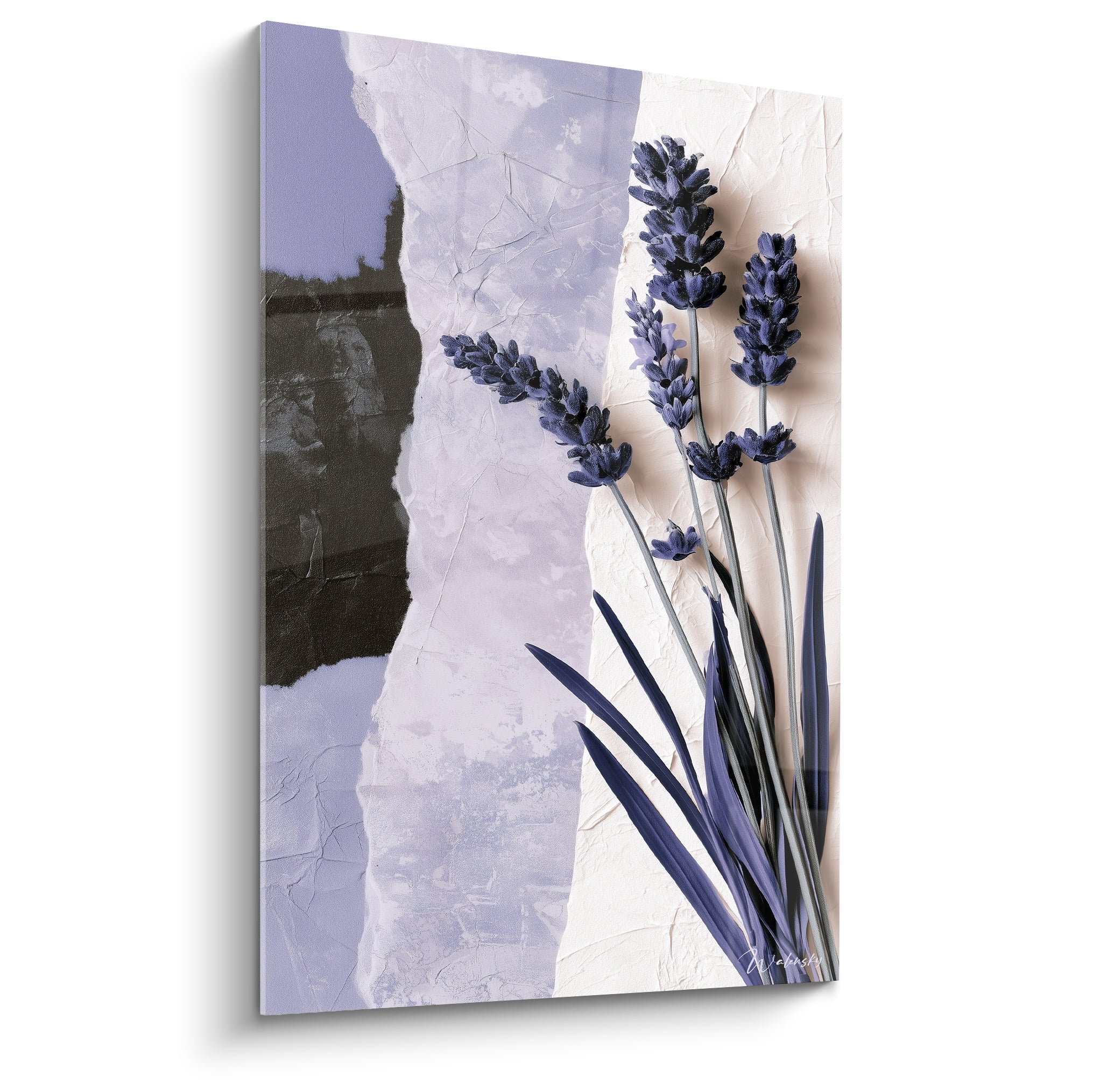 Lavande violette et bleu marine aux épis denses sur fond beige et lilas déchiré