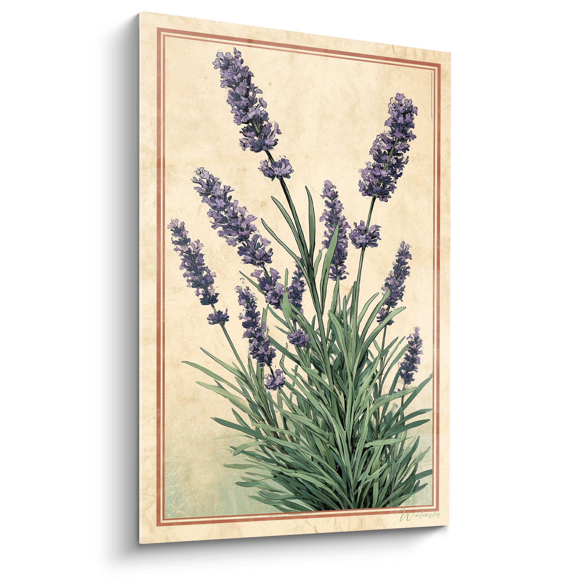 Bouquet de lavande violette et vert sauge sur fond ivoire patiné, style illustration botanique