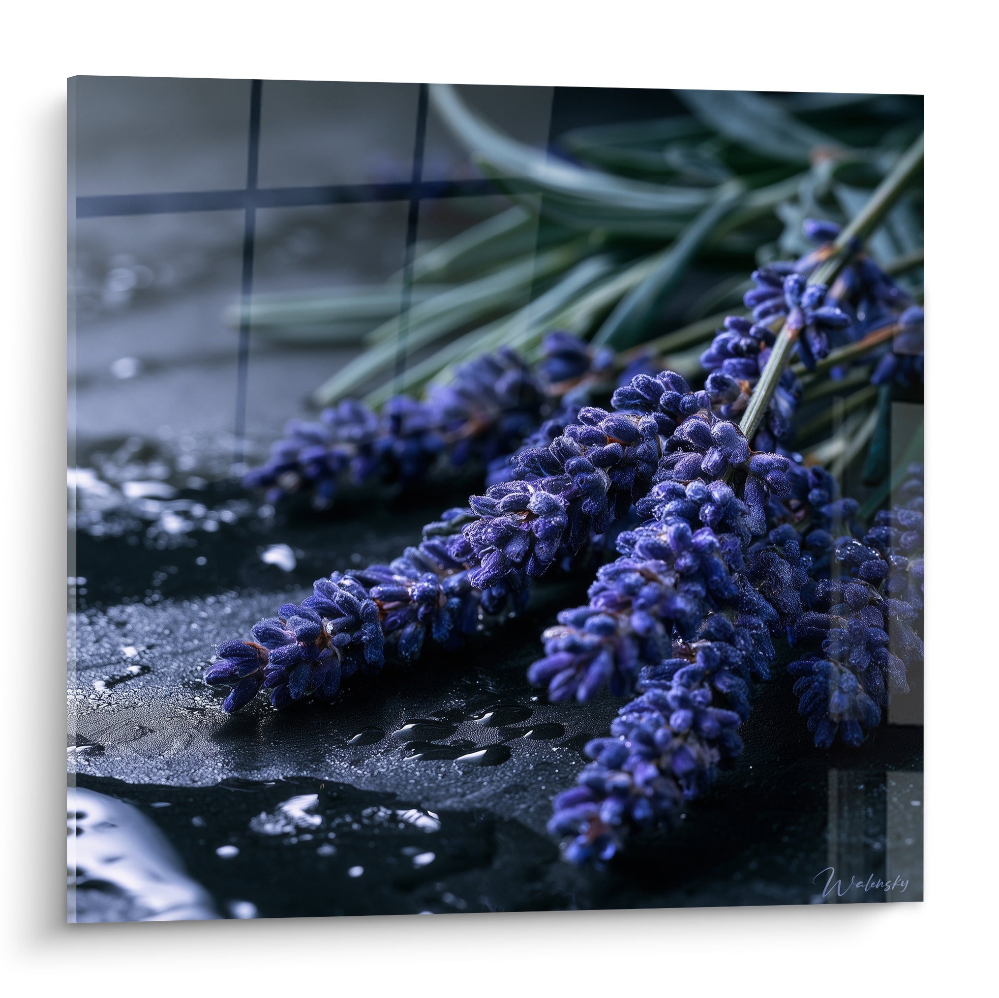 Brins de lavande violette posés sur pierre anthracite humide, gouttes d'eau et tiges vertes floues