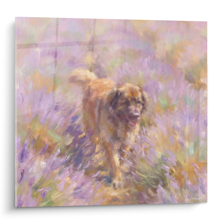 Tableau Chien à la Fourrure Dorée dans les Violettes - Tendresse Impressionniste - Edition Leonberg
