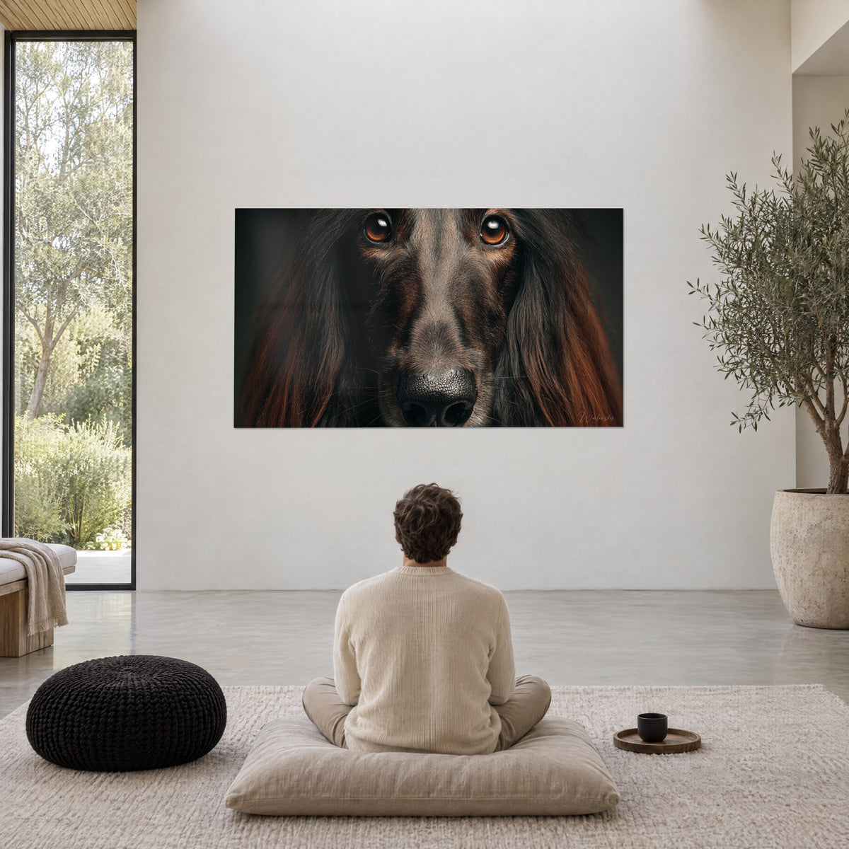 Cuadro mirada intensa de galgo afgano, pupilas ámbar y mechones pelirrojos sobre fondo oscuro, un hombre de espaldas sentado en meditación frente a la pared