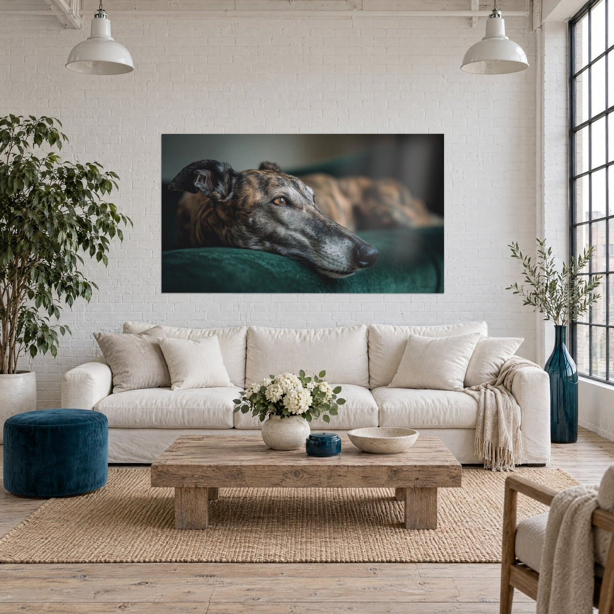 Wall art brindle whippet with a fine muzzle, cheek resting on deep green velvet, white wall, above a sofa in a bright living room