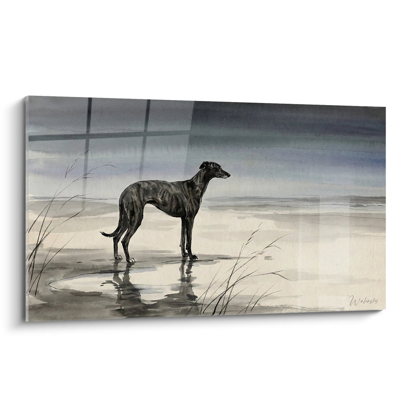 Schwarzer Windhund am grauen Strand - Küstenwelt Eleganz - Greyhound Edition