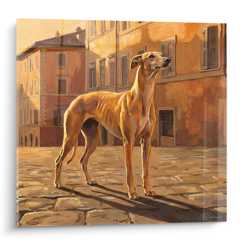 Tableau Lévrier Doré dans Ruelle Italienne - Élégance Méditerranéenne - Edition Lévrier Greyhound