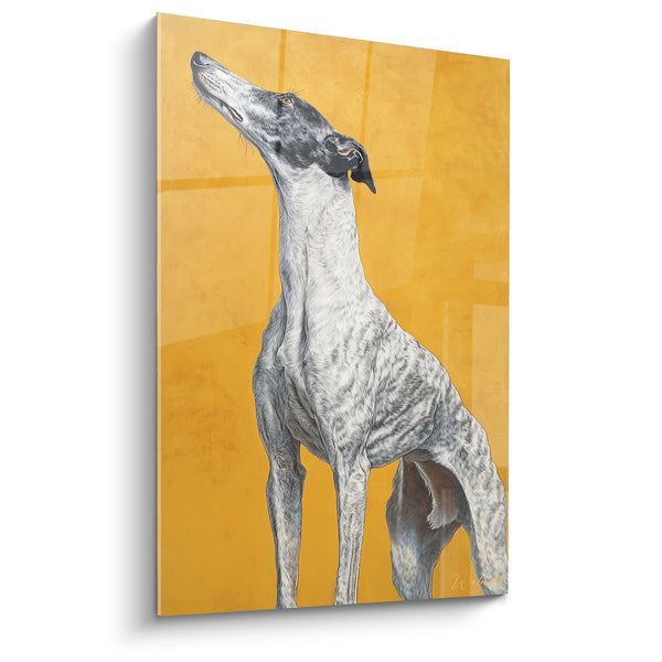 Cuadro de Lebrel Blanco Alzado sobre Fondo Ocre - Elegancia Canina - Edición Lebrel Whippet
