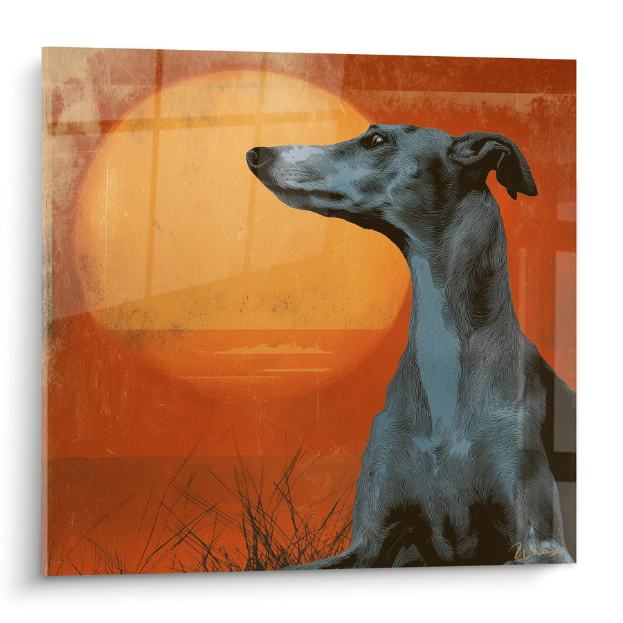 Tableau Lévrier Whippet au Coucher de Soleil - Regard Contemplatif - Edition Lévrier Whippet