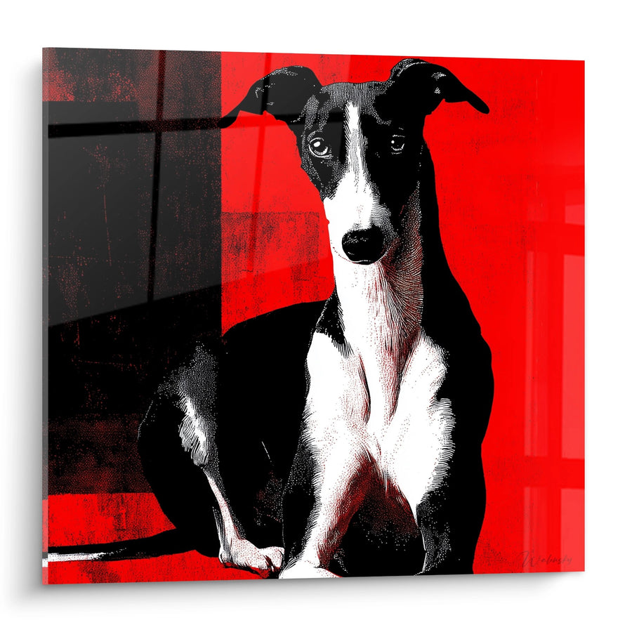 Tableau Lévrier Whippet Noir et Blanc Assis sur Fond Rouge Éclatant - Portrait Canin Contemporain - Edition Lévrier Whippet