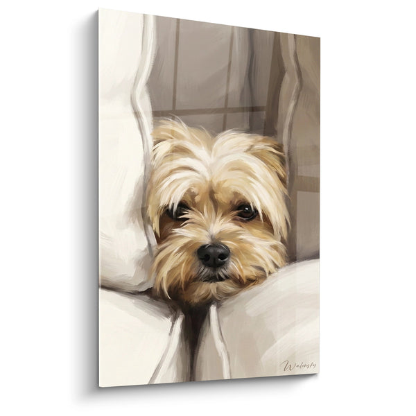 Tableau Lhassa Apso Endormi dans des Draps Blancs - Tendresse Matinale - Edition Lhassa Apso