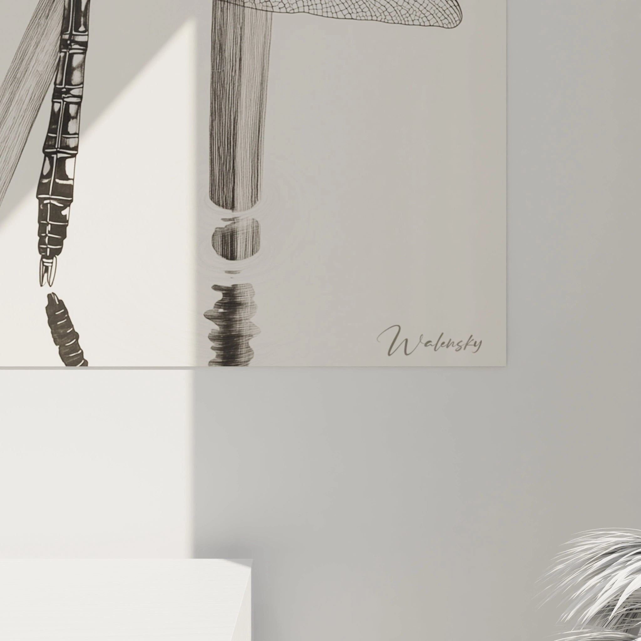 Tableau libellule Walensky en noir et blanc avec détails artistiques suspendu sur un mur blanc
