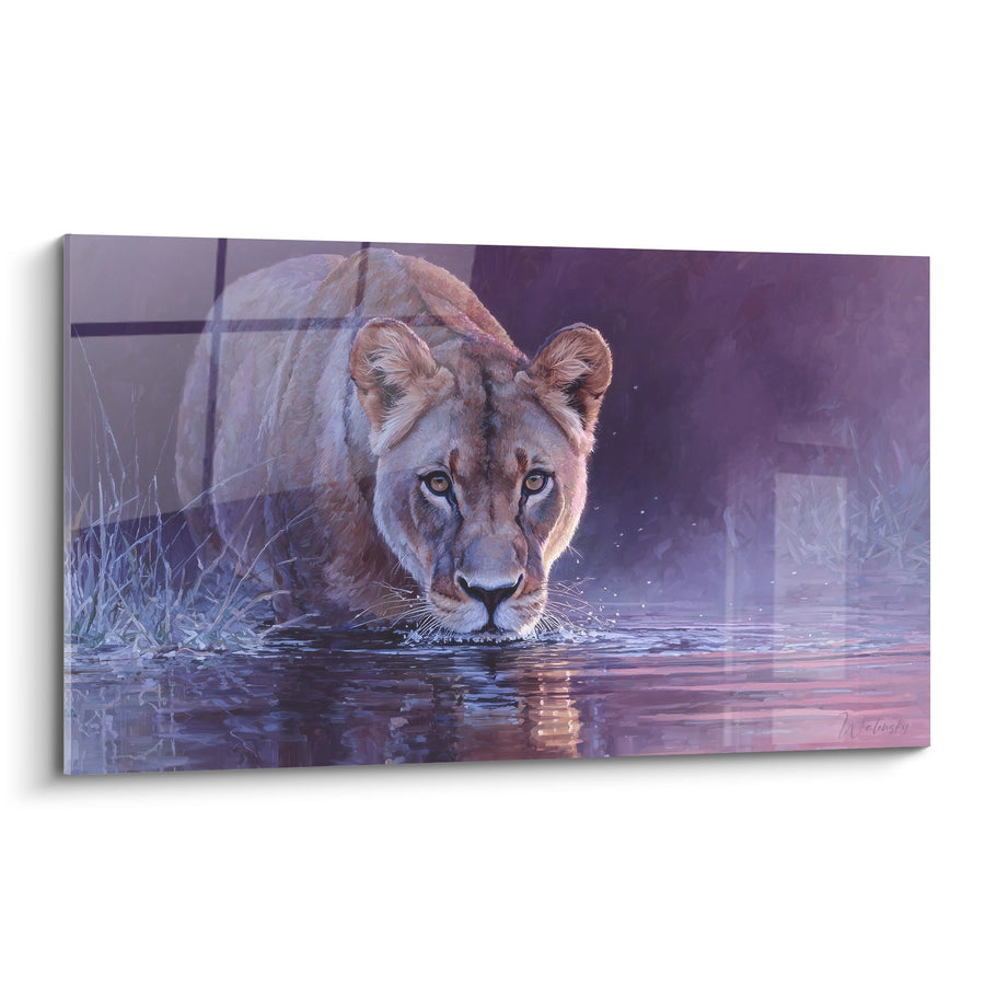 Tableau Lion Buvant dans l'Eau aux Reflets Violets et Dorés - Hydratation Crépusculaire - Edition Lion