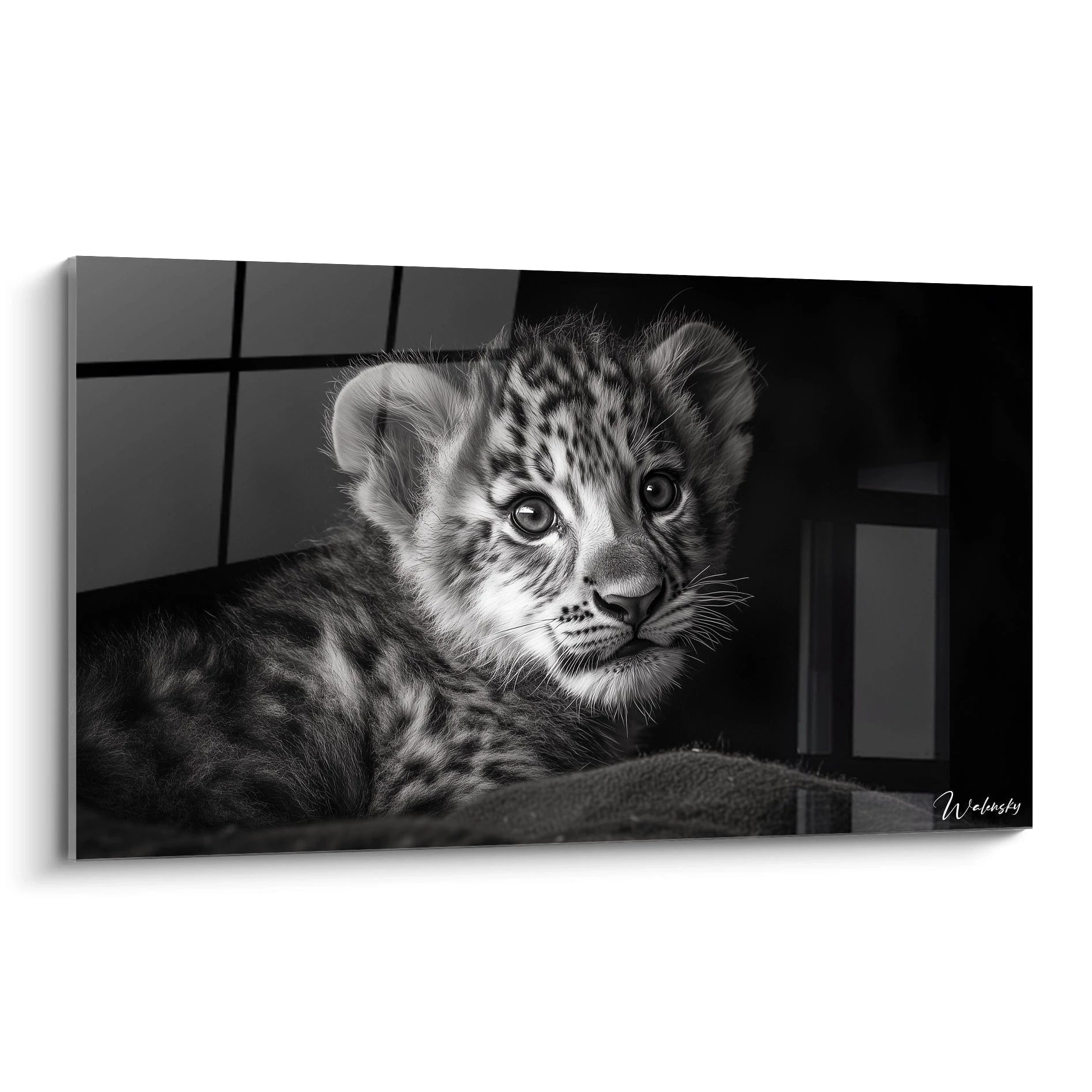 Un tableau lionceau en noir et blanc présentant un jeune félin au regard expressif, avec une fourrure tachetée aux contrastes marqués entre blanc et noir, sur un fond sombre qui met en valeur les détails fins des moustaches et du pelage duveteux.
