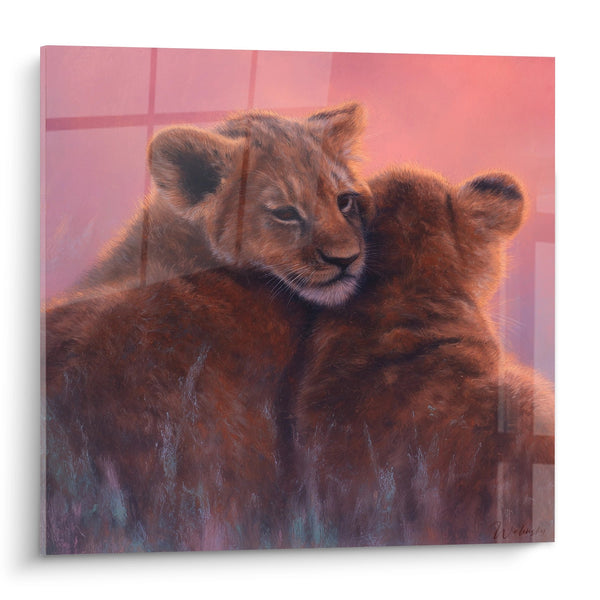 Cuddling Lion Cubs with Rosy and Golden Hues - Tender Brotherhood - Lion Edition