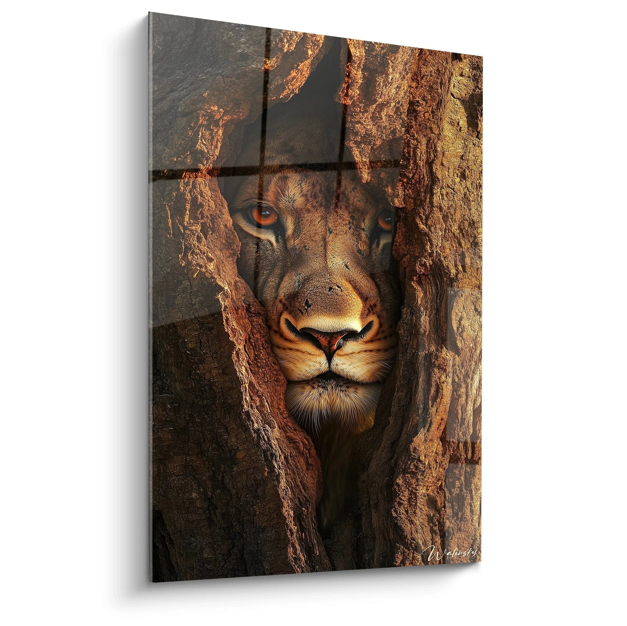 Un tableau lionne représentant un gros plan facial du félin observant à travers une cavité d'arbre. Teintes dominantes marron, or et ambre. Contraste saisissant entre la texture rugueuse de l'écorce et la fourrure soyeuse du prédateur au regard perçant.
