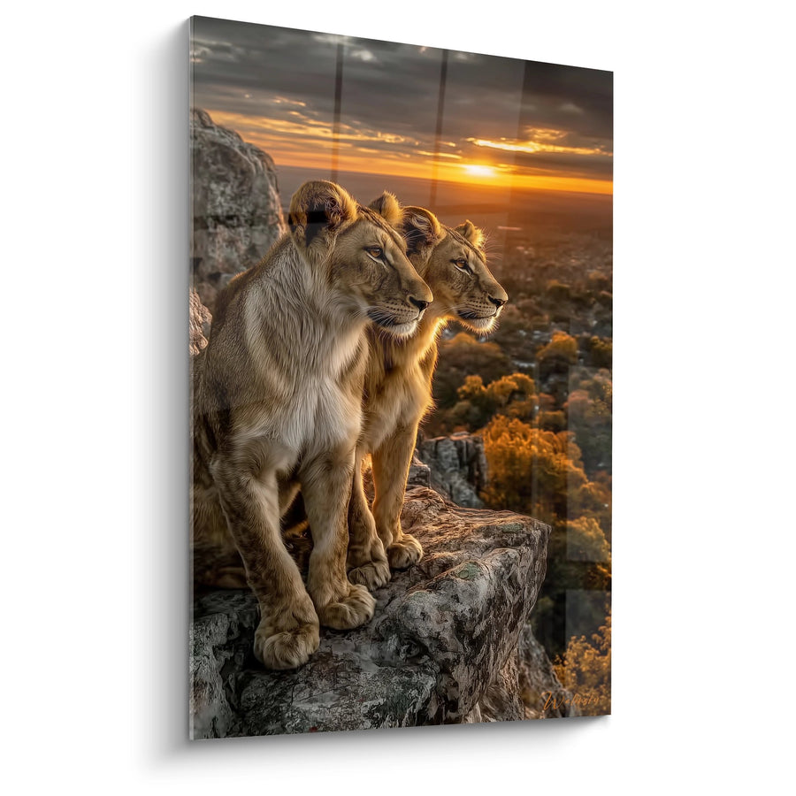 Tableau Duo de lionnes contemplant le coucher de soleil doré sur rochers - Majesté sauvage - Edition Lion