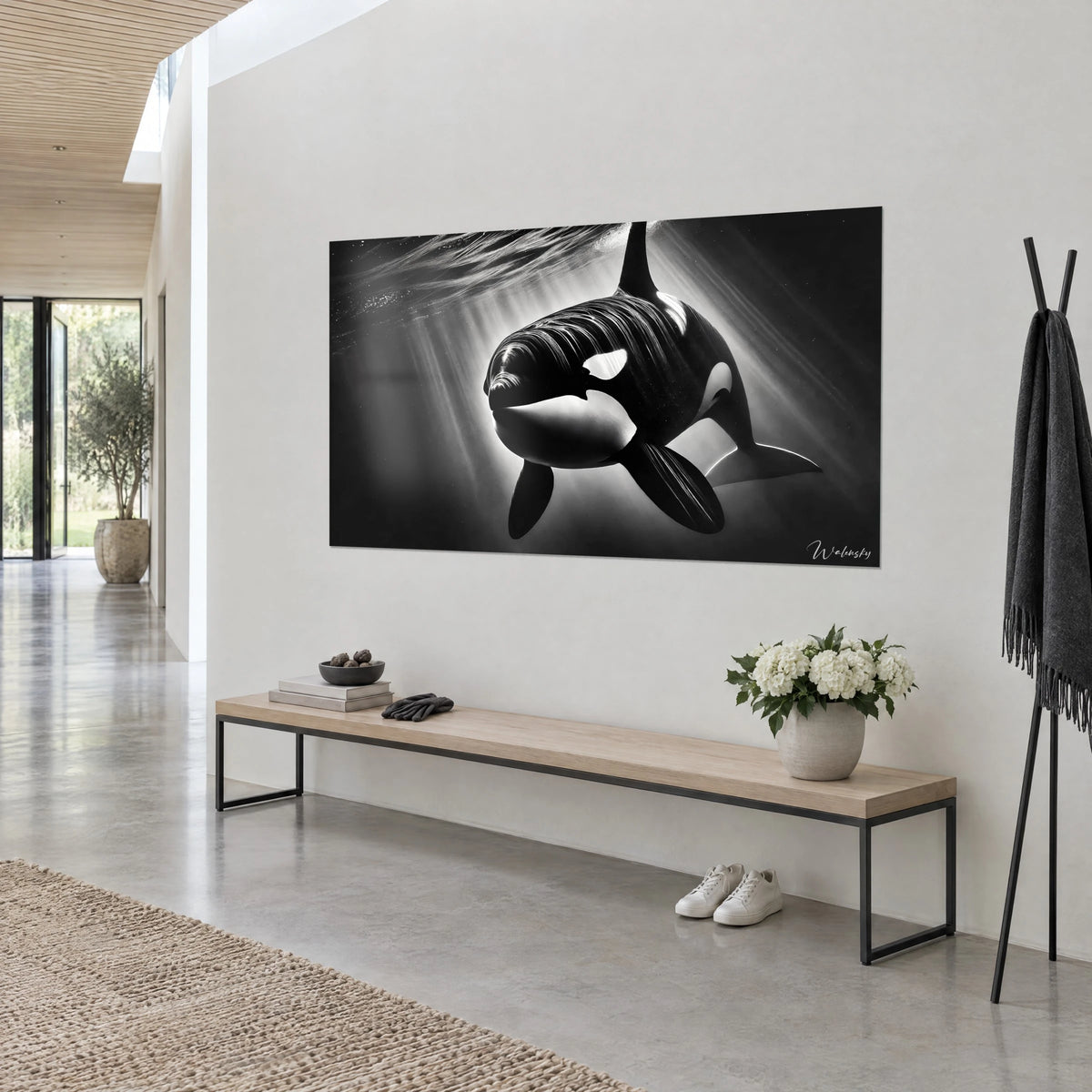 Wall art monochrome cetacean with white markings, dorsal fin raised, silver rays, three-quarter view, wooden console and pale wall