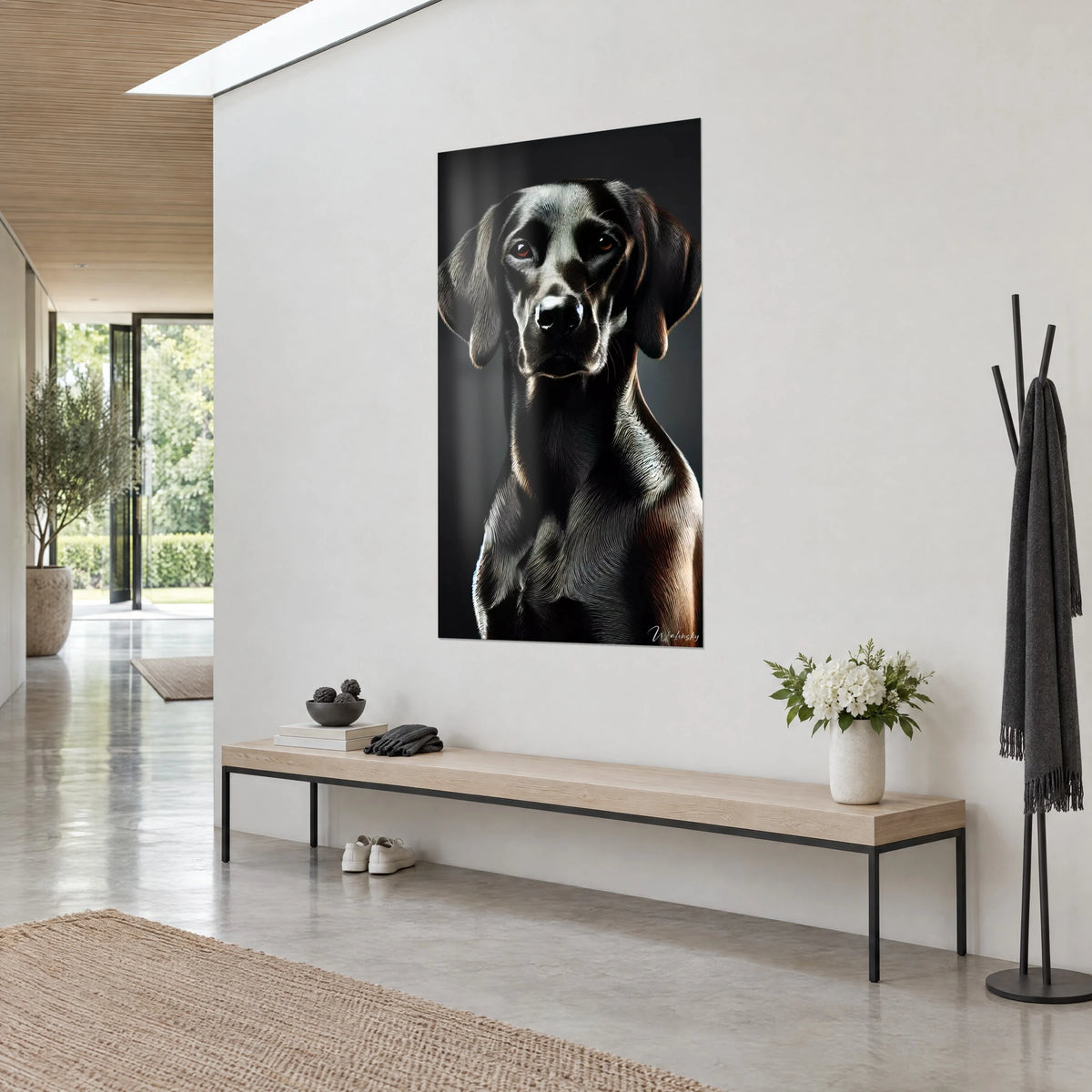 Cuadro labrador de ébano de orejas caídas, reflejos cobrizos en el hocico, sobre pared blanca junto a un banco de madera clara