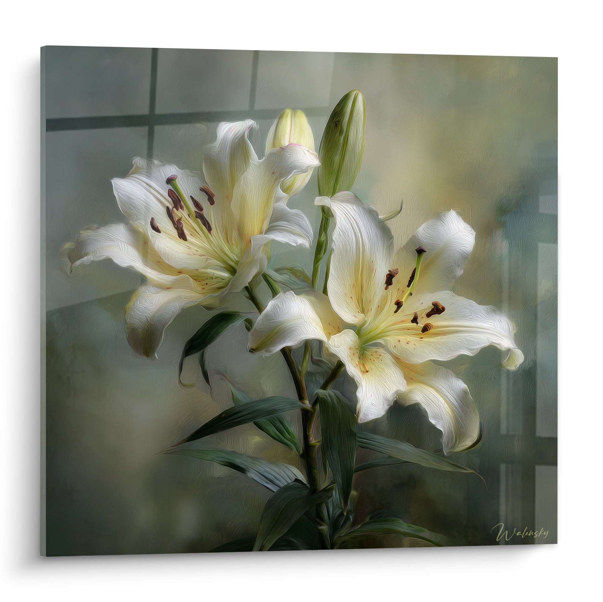 Lys blanc et vert en pleine floraison, pétales veloutés et étamines brunes, fond flou beige-gris