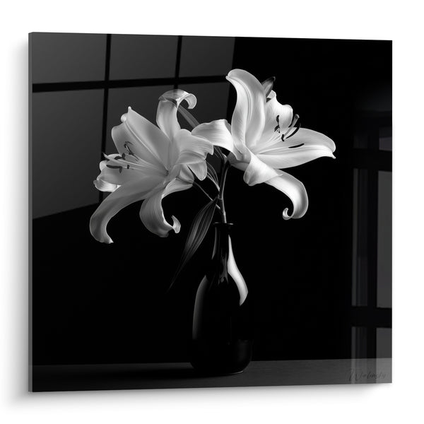 Quadri Lis bianco e nero in vaso scuro - Splendore nell'ombra - Edizione Lis