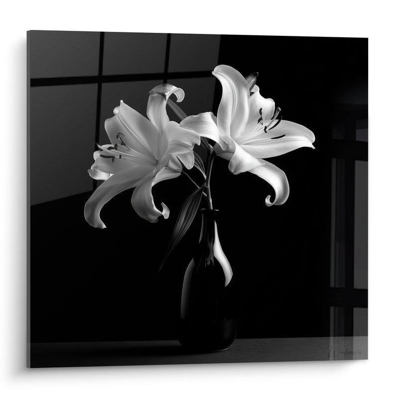 Tableau Lys blanc et noir en vase sombre - Éclat dans l'ombre - Edition Lys