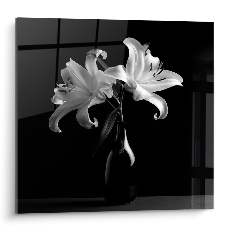 White and Black Lily Painting in Dark Vase - Radiance in the Shadow - Lys Edition