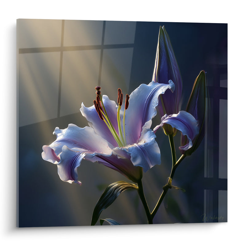 Tableau Fleur mauve et bleu près d'une fenêtre - Éveil matinal - Edition Lys