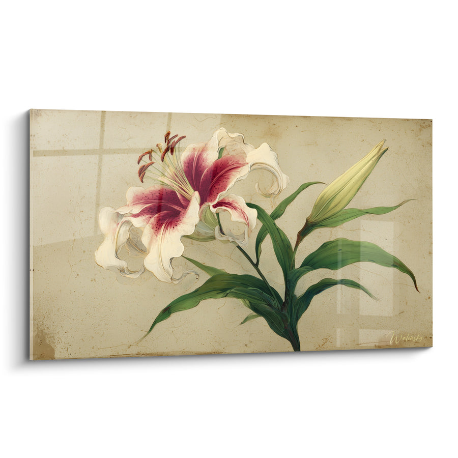 White and Pink Lily Painting on Patinated Background - Botanical Memory - Lys Edition