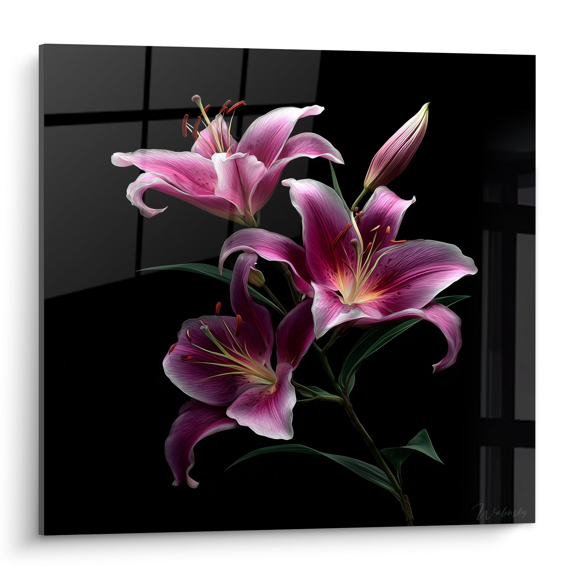 Lys rose fuchsia aux pétales incurvés se détachant sur un fond noir profond et texturé