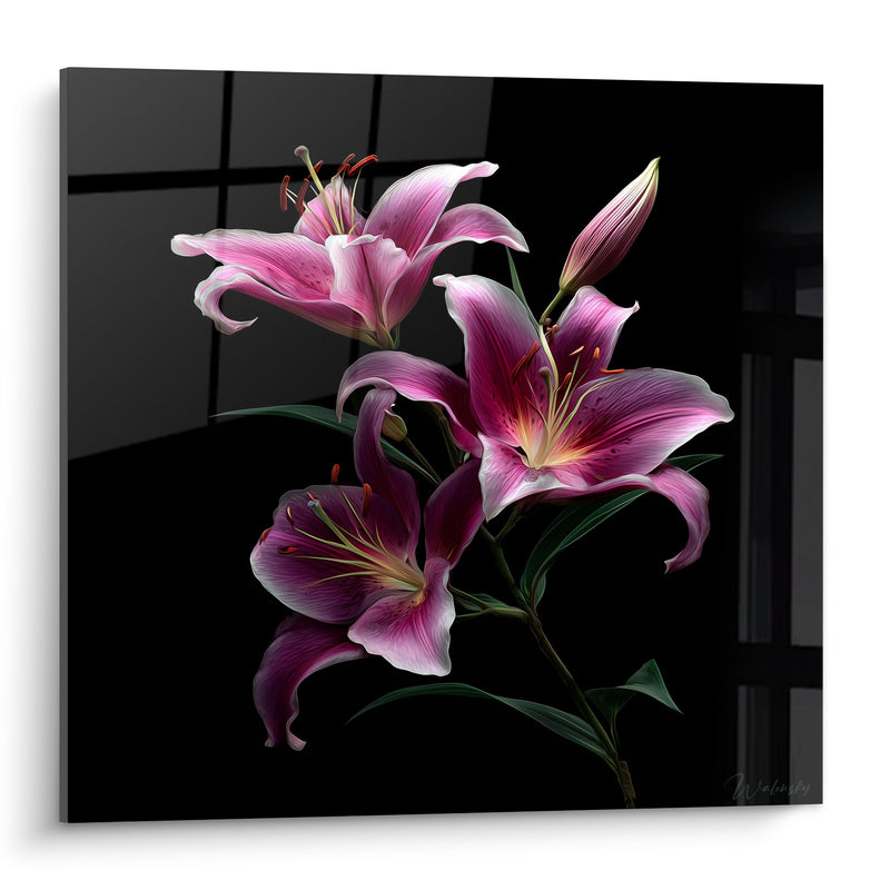 Tableau Lys magenta et noir aux étamines recourbées - Bouton fermé pointu - Edition Lys