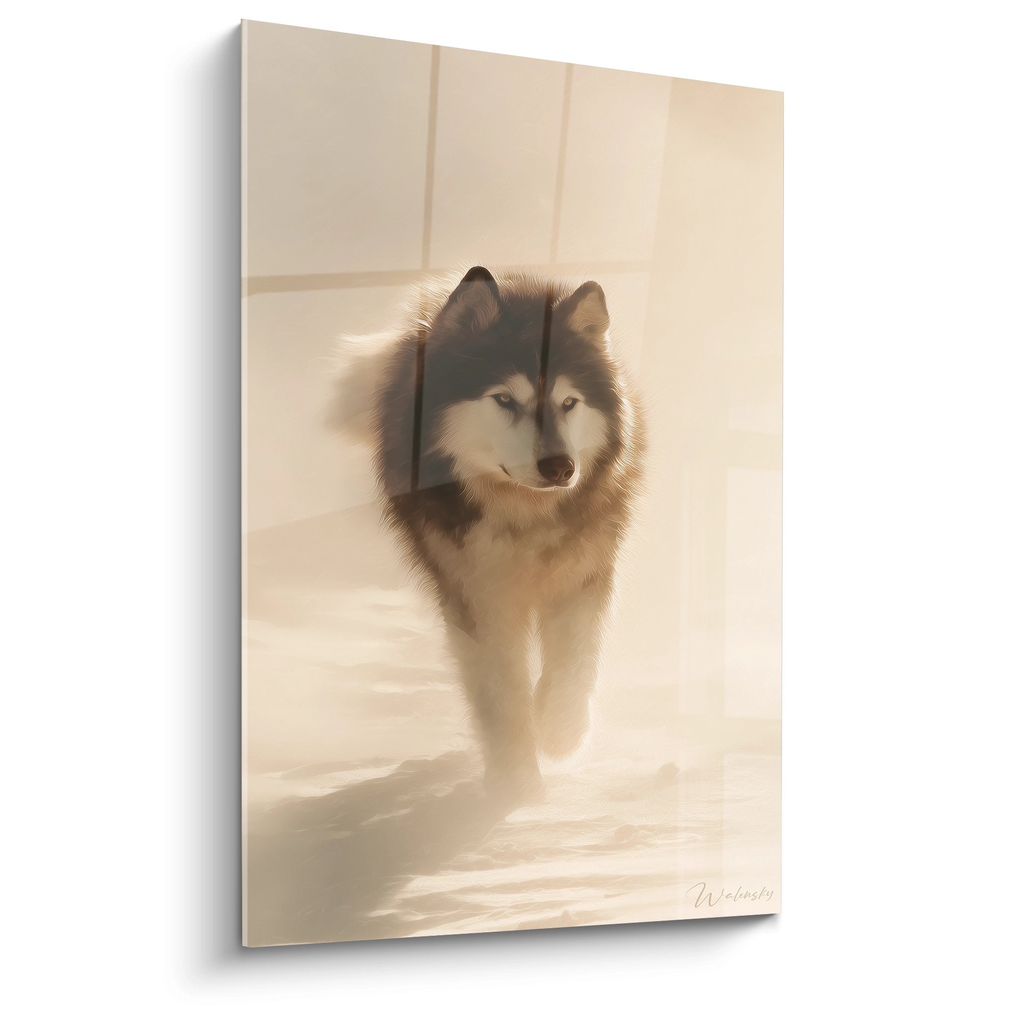 Tableau Malamute Alaska émergeant de la brume dorée avec regard intense et pelage gris blanc détaillé