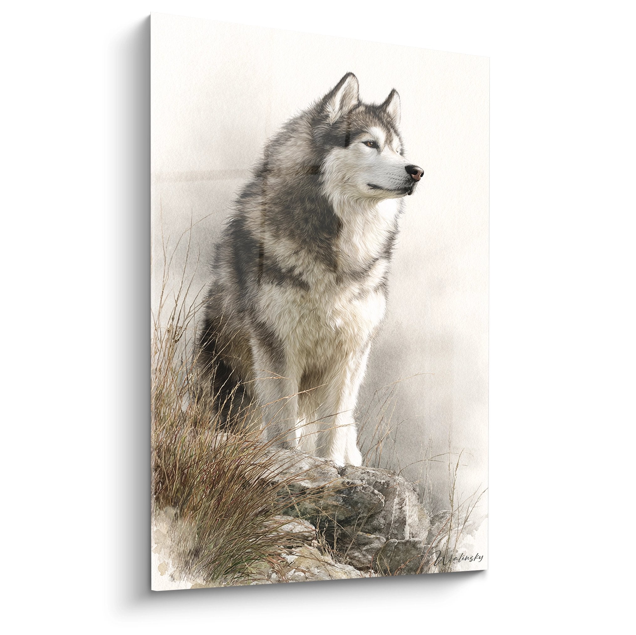 Tableau malamute alaska gris blanc sur rocher brume herbes sauvages decoration murale nordique