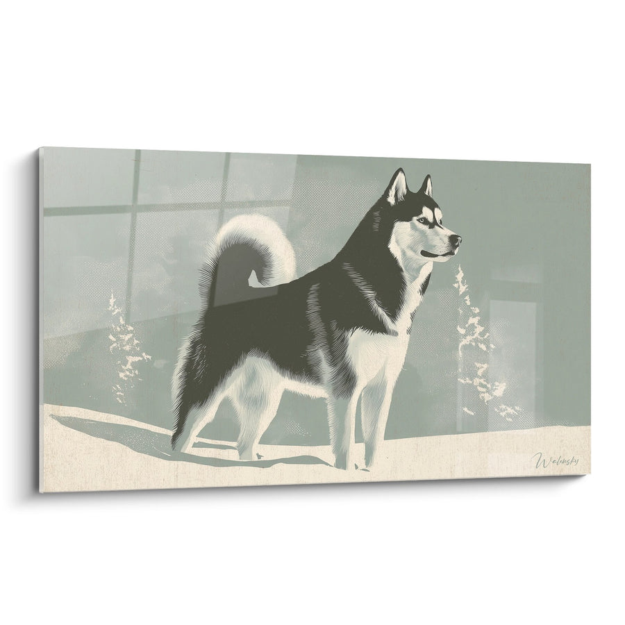 Tableau Malamute Noir et Blanc sur Terrasse Hivernale - Élégance Arctique - Edition Malamute Alaska