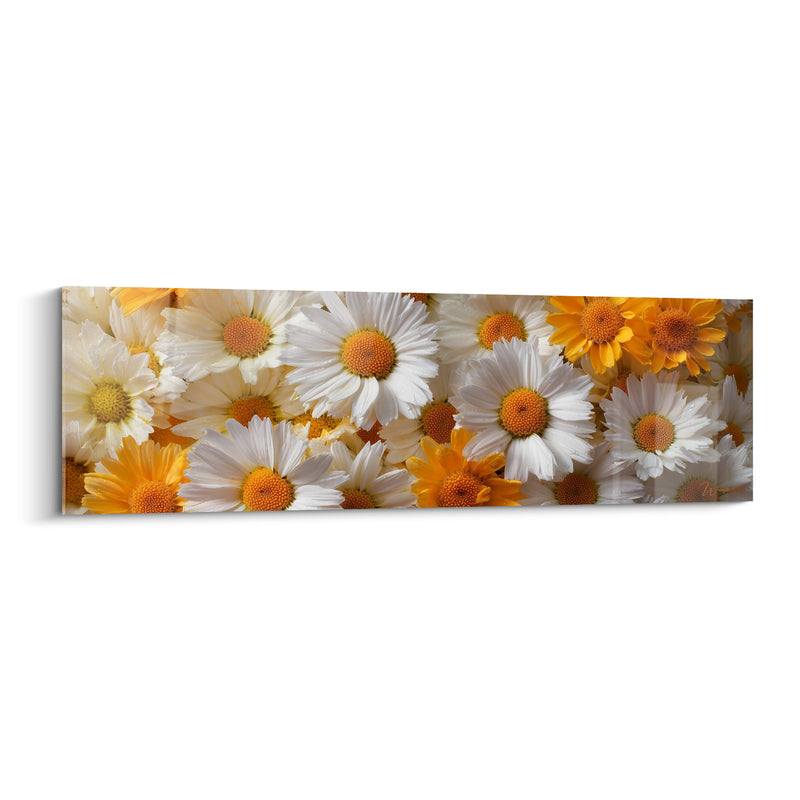 Tableau Marguerites blanches et jaunes en gros plan serré - Cœurs safranés juxtaposés - Edition Marguerite