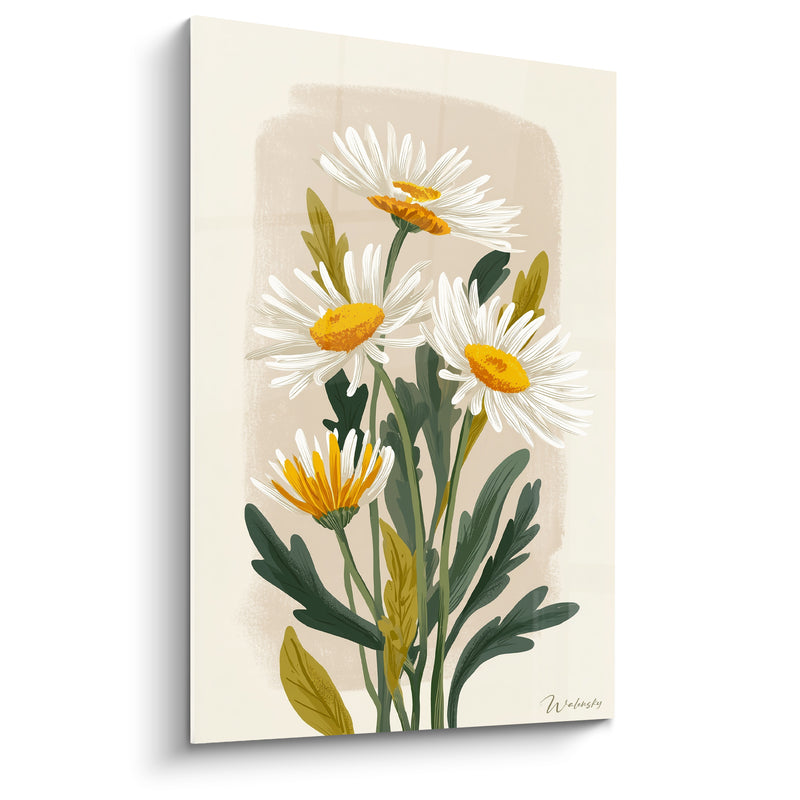 Tableau Marguerites blanches et vertes à fleur repliée - Feuilles dentelées olive - Edition Marguerite